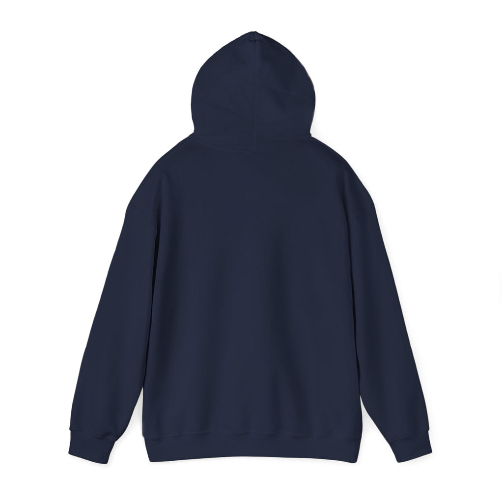 Covenant Creation Rainbow Text Hoodie — Inspirational Faith Graphic Sweatshirt