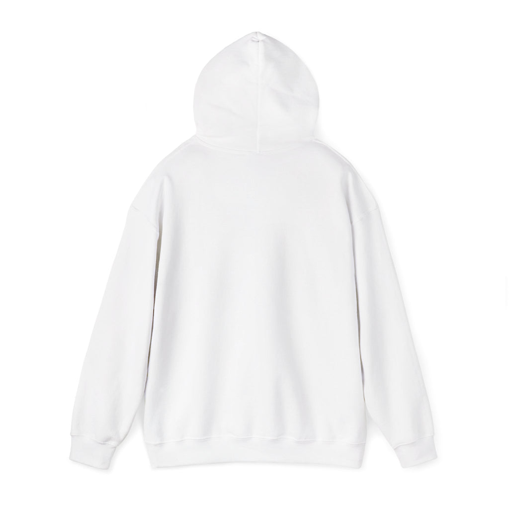 Covenant Creation Rainbow Text Hoodie — Inspirational Faith Graphic Sweatshirt