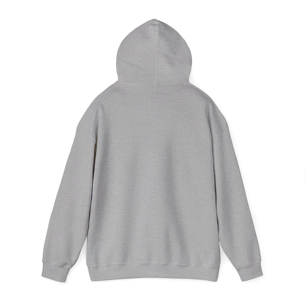 Covenant Creation Rainbow Text Hoodie — Inspirational Faith Graphic Sweatshirt