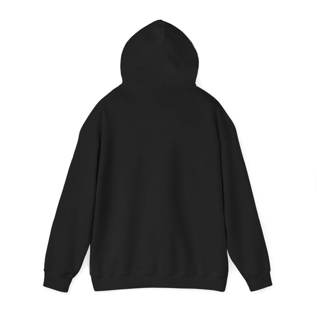 Covenant Creation Rainbow Text Hoodie — Inspirational Faith Graphic Sweatshirt